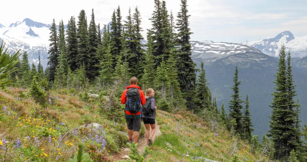 A couple hiking along a forest trail through an alpine meadow